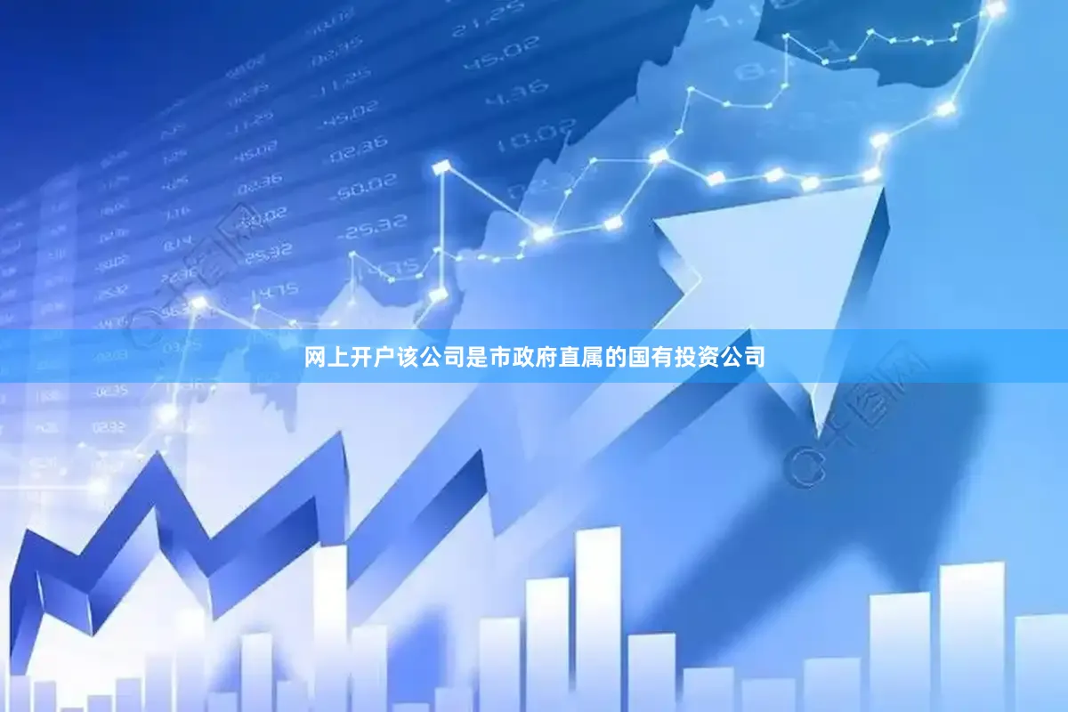 网上开户该公司是市政府直属的国有投资公司