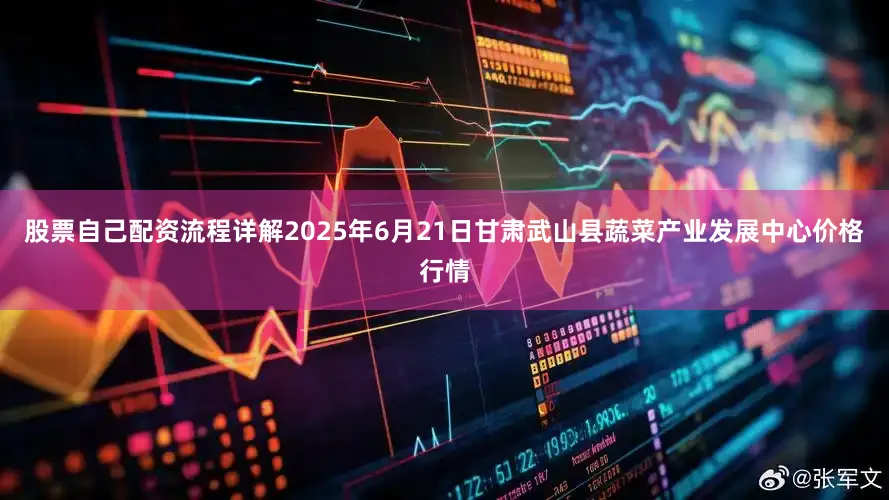 股票自己配资流程详解2025年6月21日甘肃武山县蔬菜产业发展中心价格行情